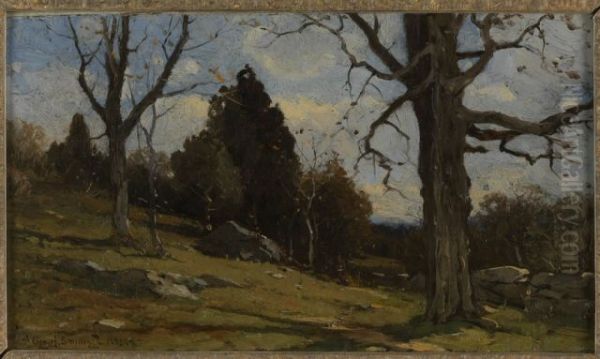 Hillside - view 1