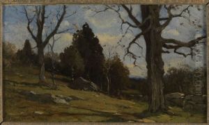 Hillside Hillside
