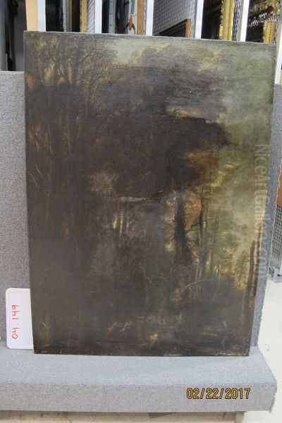 Landscape - view 1