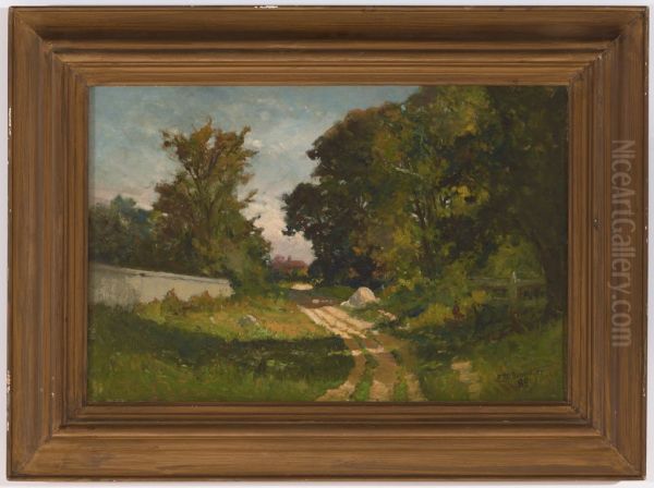 Road to a House with a Red Roof - view 1
