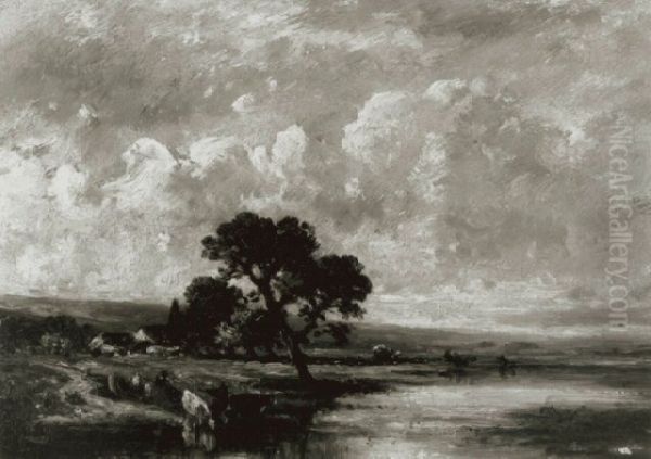 Cows Drinking - view 1