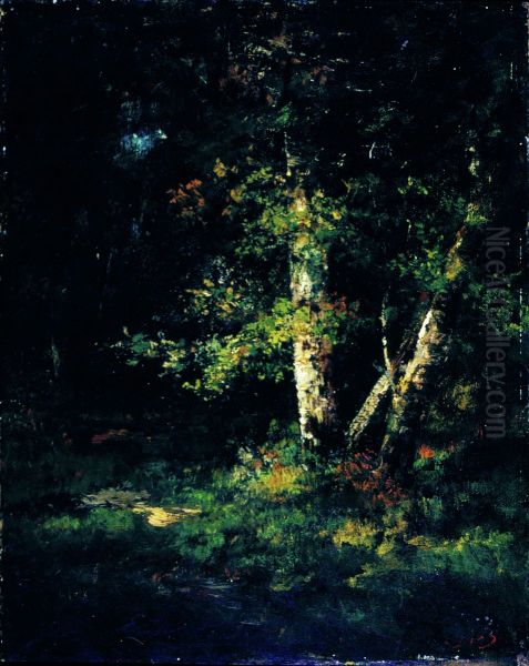 Forest Scene - view 1