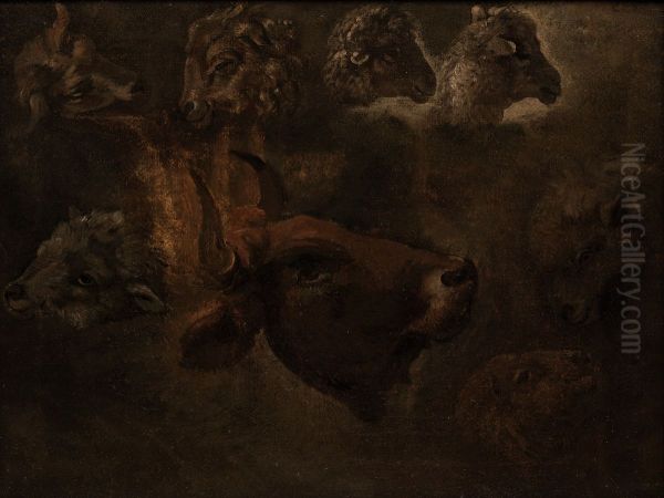 Studies of Animal Heads - view 1