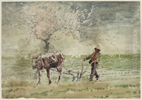 Blossom Time in Virginia - view 1
