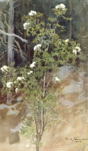 Valkea pihlaja by Eero Jarnefelt