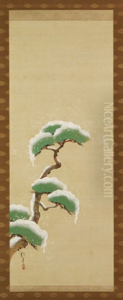 Snow Clad Pine - view 1