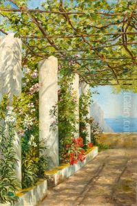 Overgrown with wine and flowers pergola over the sea