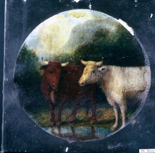 Cattle in mountain landscape - view 1