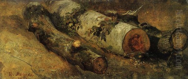 Cut-down Birch-trees - view 1