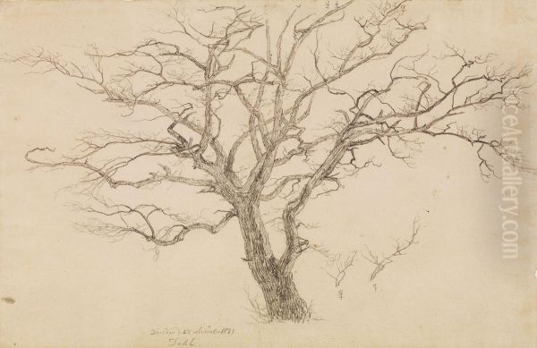 Study of a Tree - view 1