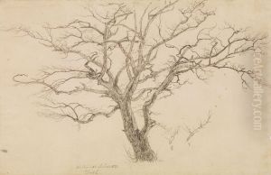 Study of a Tree by Johan Wilhelm Ludwig Dahl