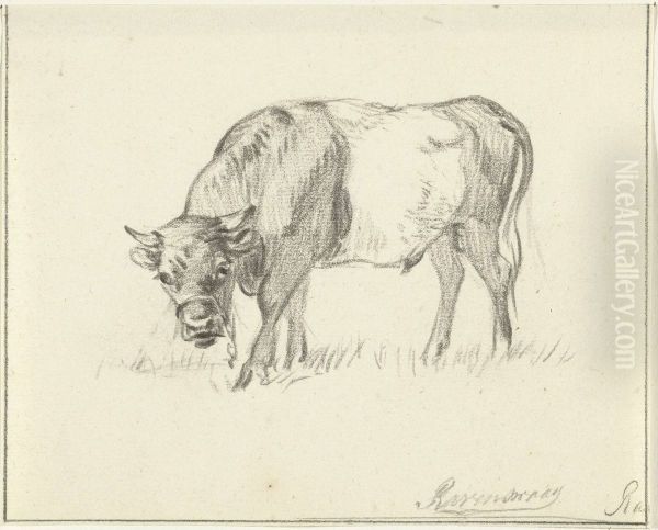 Grazende stier, naar links - view 1