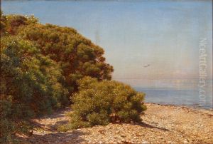 A sunny coastal scenery. by C. A. Kolle