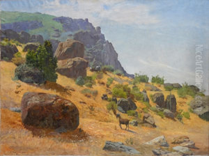 Quebrada de los loros Quebrada de los loros