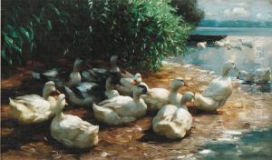 Ducks at Lakeshore