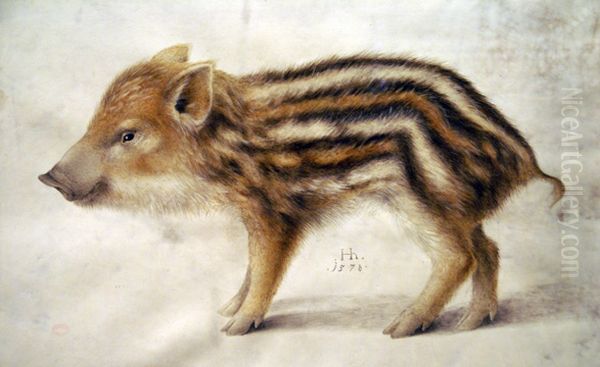 A Wild Boar Piglet - view 1