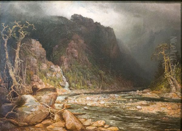 A Coming Storm in the Adirondacks - view 1