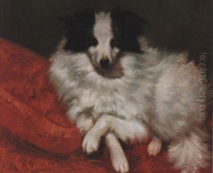 Sitzender Hund auf Kissen