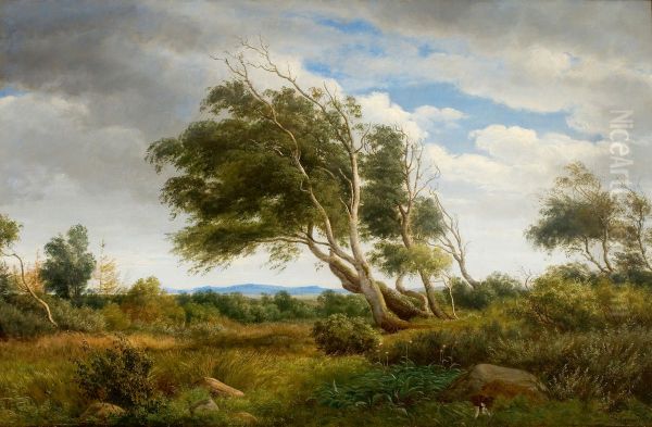 Parti fra udkanten af Tisvilde Skov, - view 1