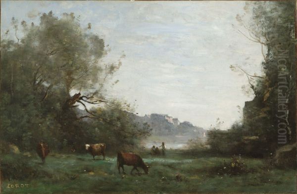 Cattle at Pasture in a Wooded Valley - view 1