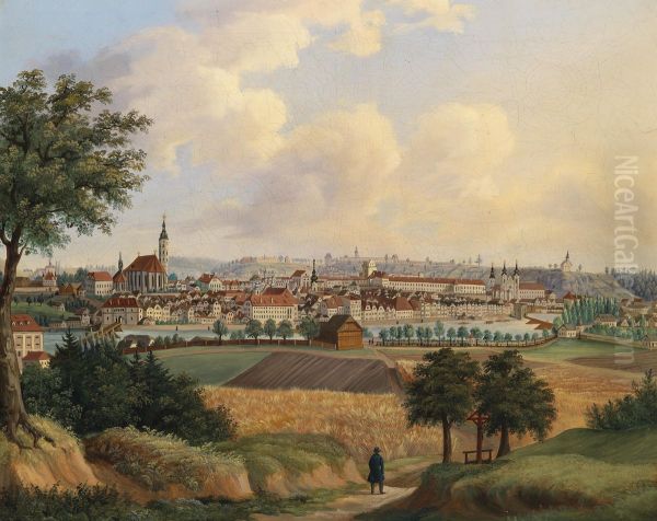 Blick auf Steyr - view 1