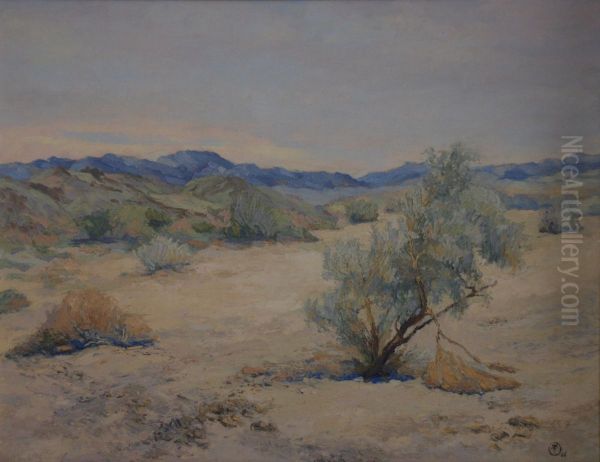 Early in the Day in Desert Quiet - view 1