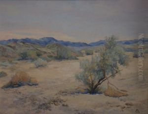 Early in the Day in Desert Quiet Early in the Day in Desert Quiet