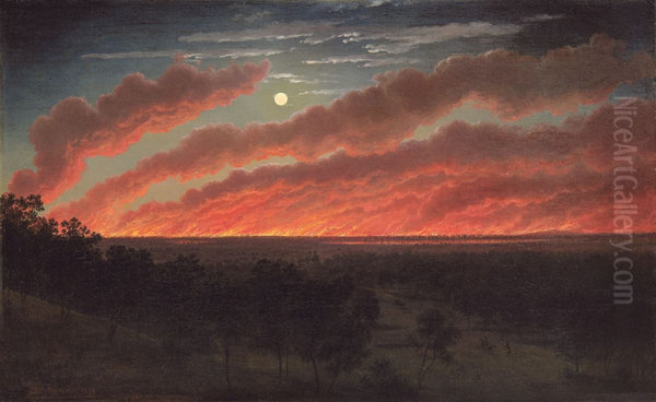 Bush fire between Mount Elephant and Timboon, 1857. - view 1
