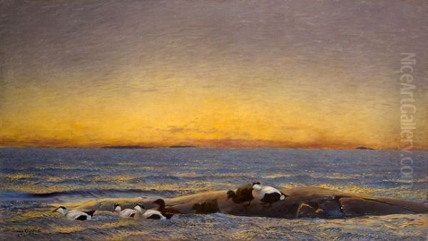 Morgonstamning vid havet - view 1