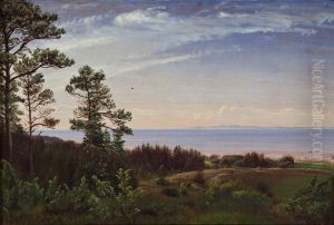 View from the North Coast of Zealand across the Kattegat with Kullen in the Background View from the North Coast of Zealand across the Kattegat with Kullen in the Background