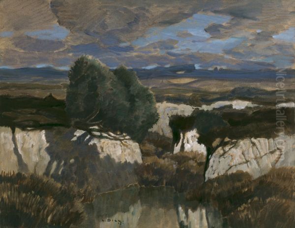 Im weissen Moor - view 1