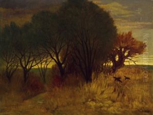 Moorlandschaft Moorlandschaft