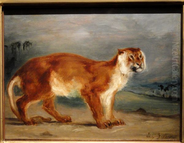 Lioness - view 1