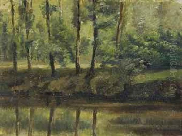 Verdant Forest - view 1