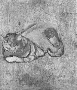 Raminou cat study