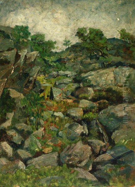 "Rocky Landscape" - view 1