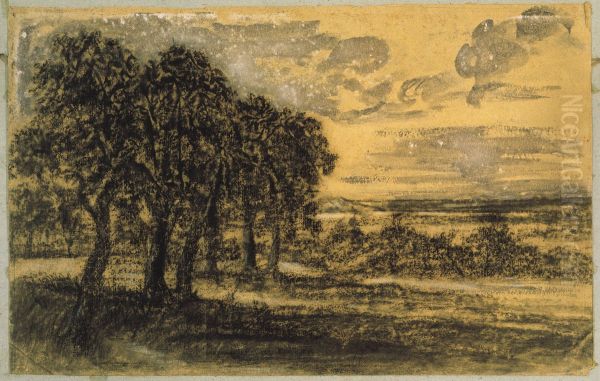 Landscape - view 1