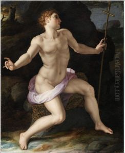 Saint John the Baptist in the Wilderness by Bronzino
