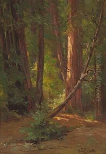 In The California Redwoods by Alice Brown Chittenden