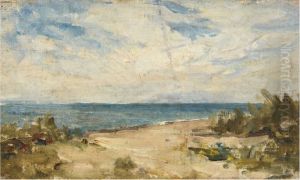 Seashore on a Sunny Day