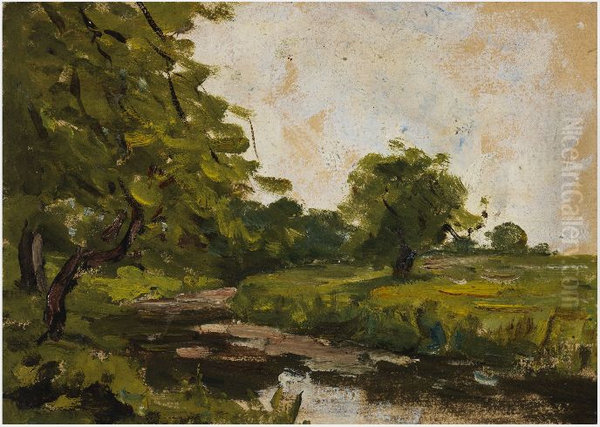 River under Trees - view 1