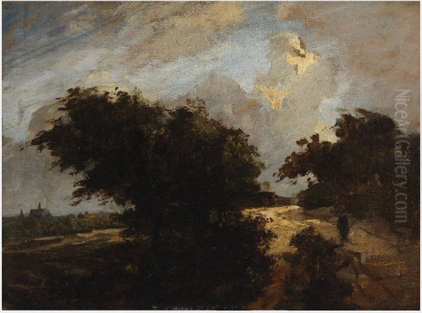 A Road between Trees - view 1