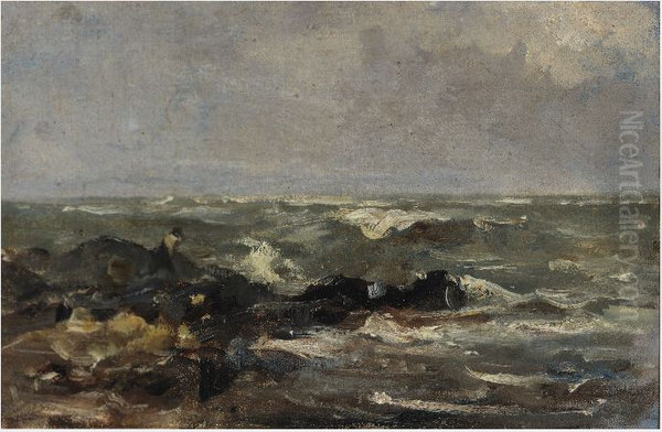A Rocky Shore - view 1