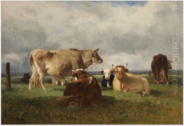Cattle and Sheep - view 1
