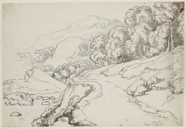 Near Dolgelly - view 1