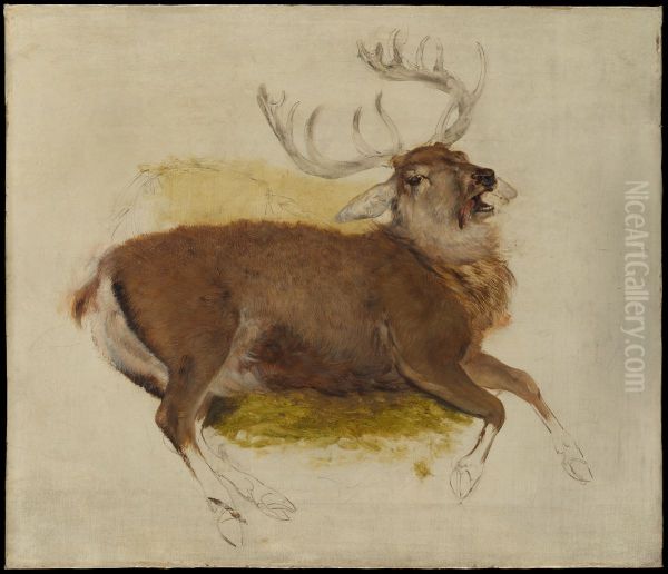 Dying Stag - view 1
