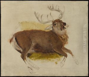 Dying Stag Dying Stag