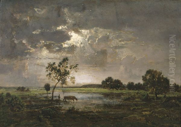 Landscape - view 1