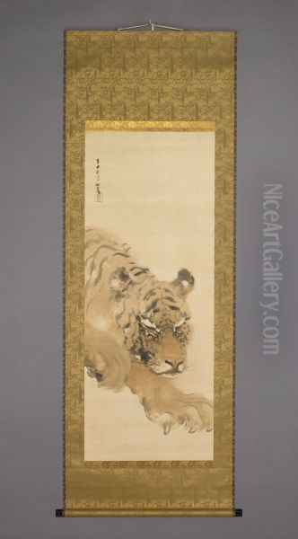 Tiger - view 1