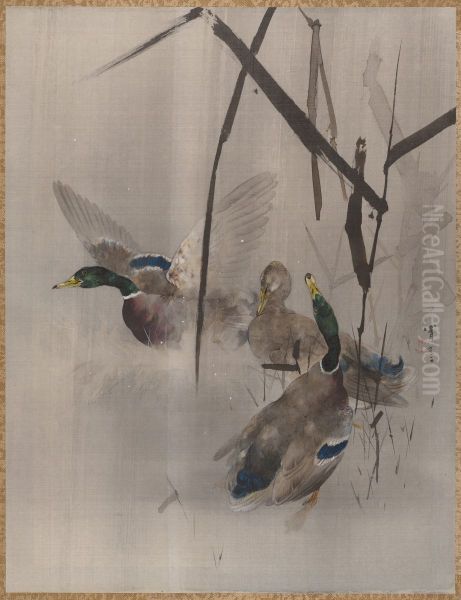 Ducks in the Rushes - view 1